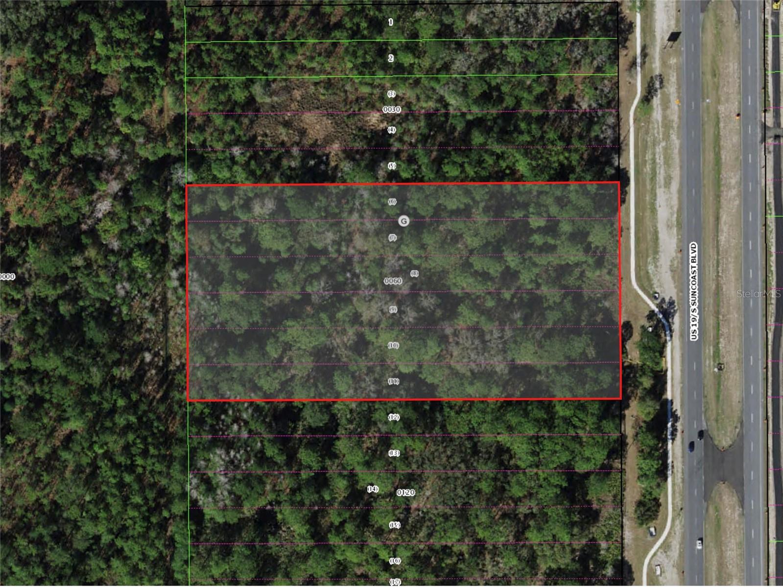 9054 S SUNCOAST BLVD, HOMOSASSA, FL, 34446