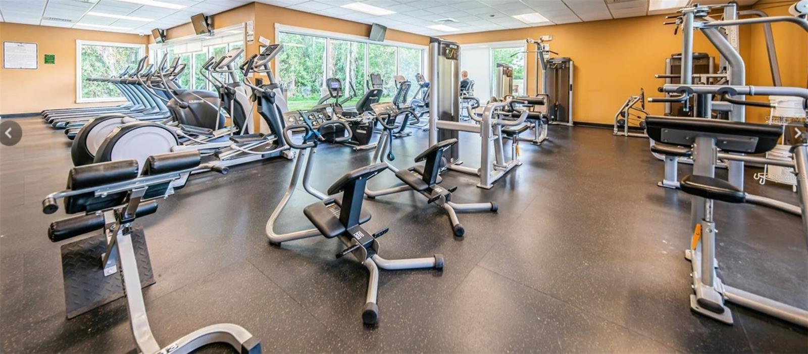 1852 ARBOR KNOLL LOOP, TRINITY, FL, 34655