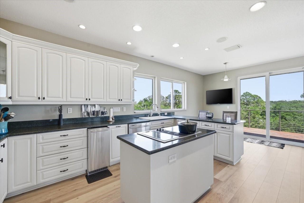 1130 S FLORIDA AVE, TARPON SPRINGS, FL, 34689