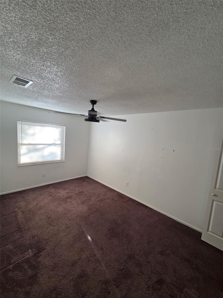 10019 N 52ND ST, TAMPA, FL, 33617