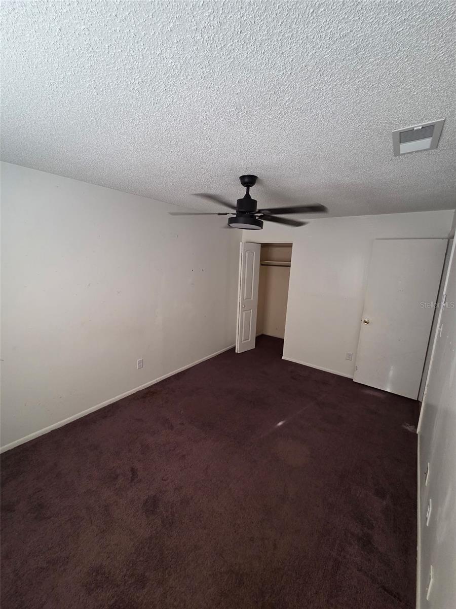 10019 N 52ND ST, TAMPA, FL, 33617