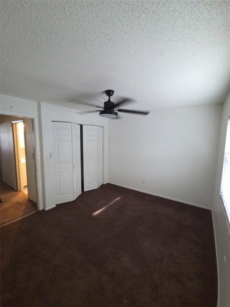 10019 N 52ND ST, TAMPA, FL, 33617