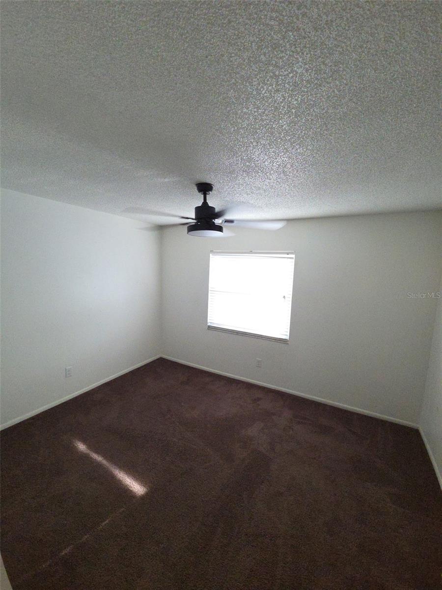 10019 N 52ND ST, TAMPA, FL, 33617