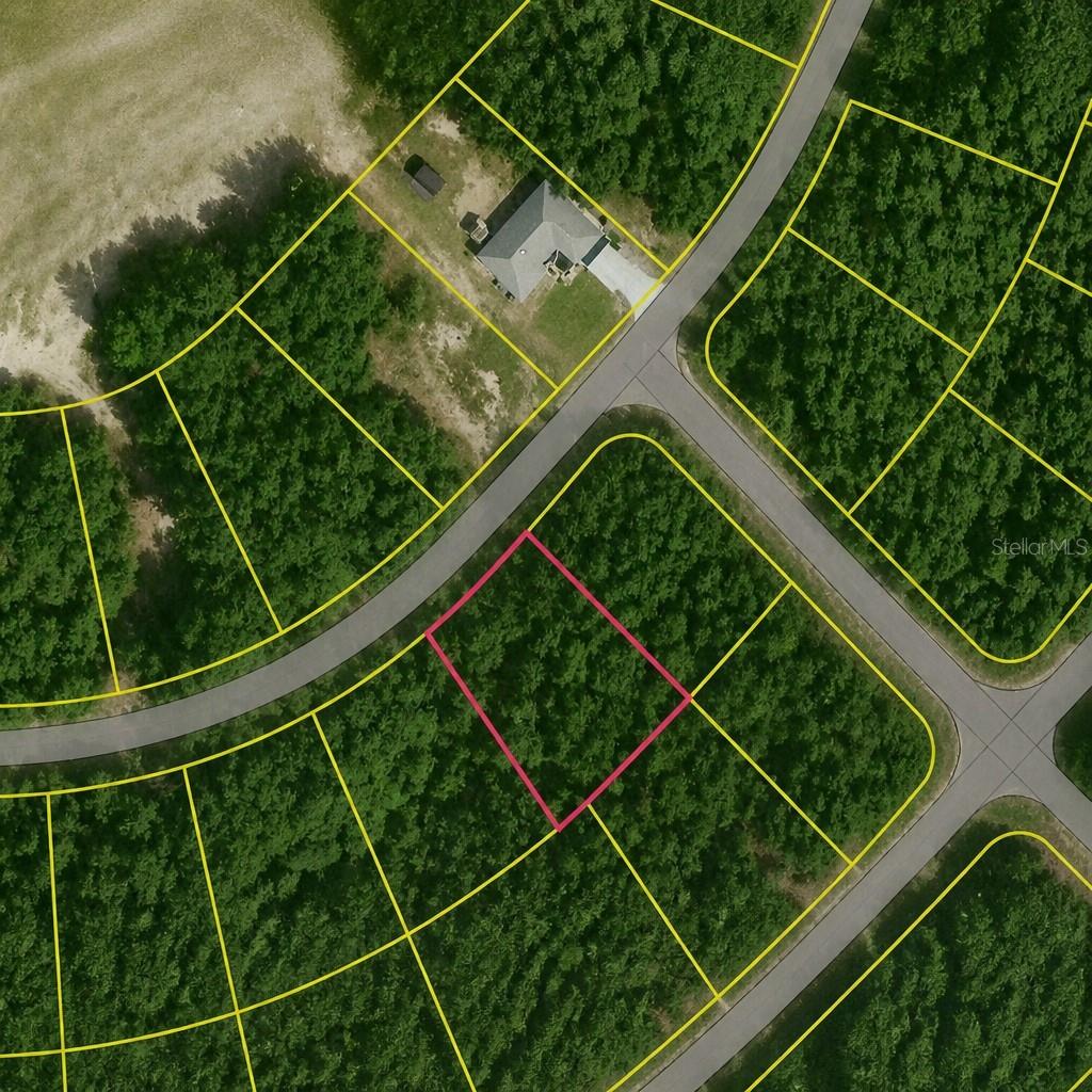 SE FISCHER LANE DR, OCKLAWAHA, FL, 32179