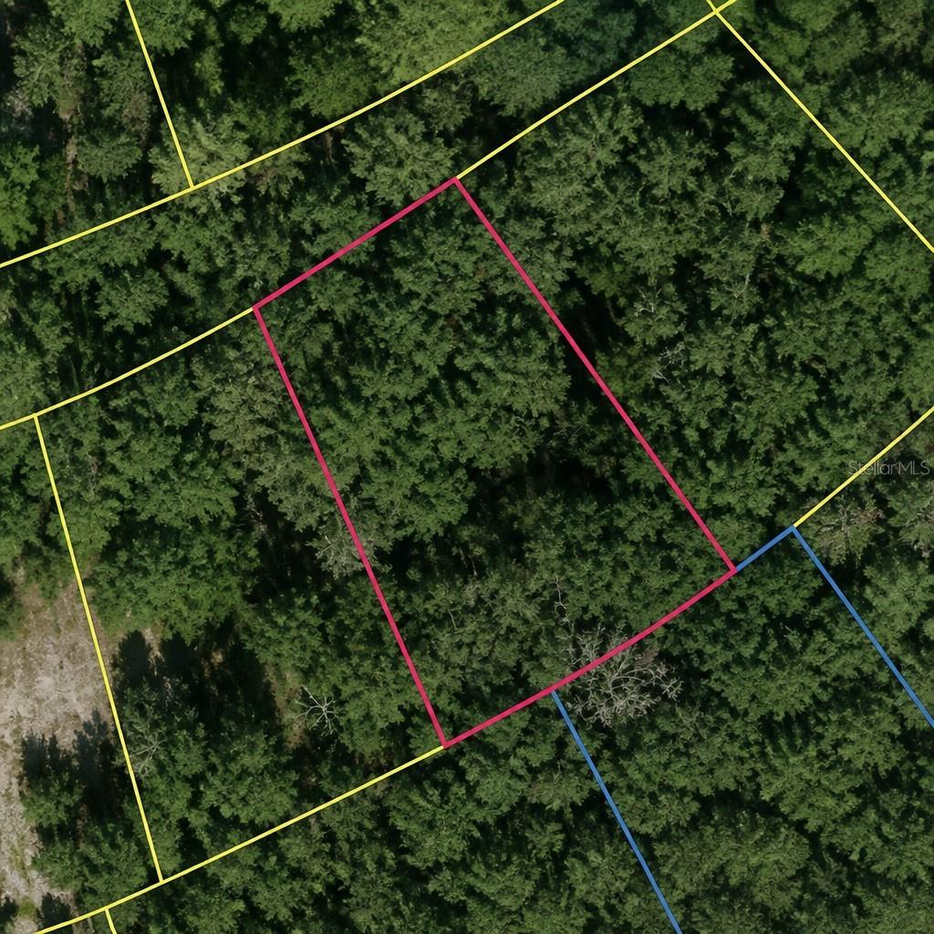 SE FISCHER LANE DR, OCKLAWAHA, FL, 32179