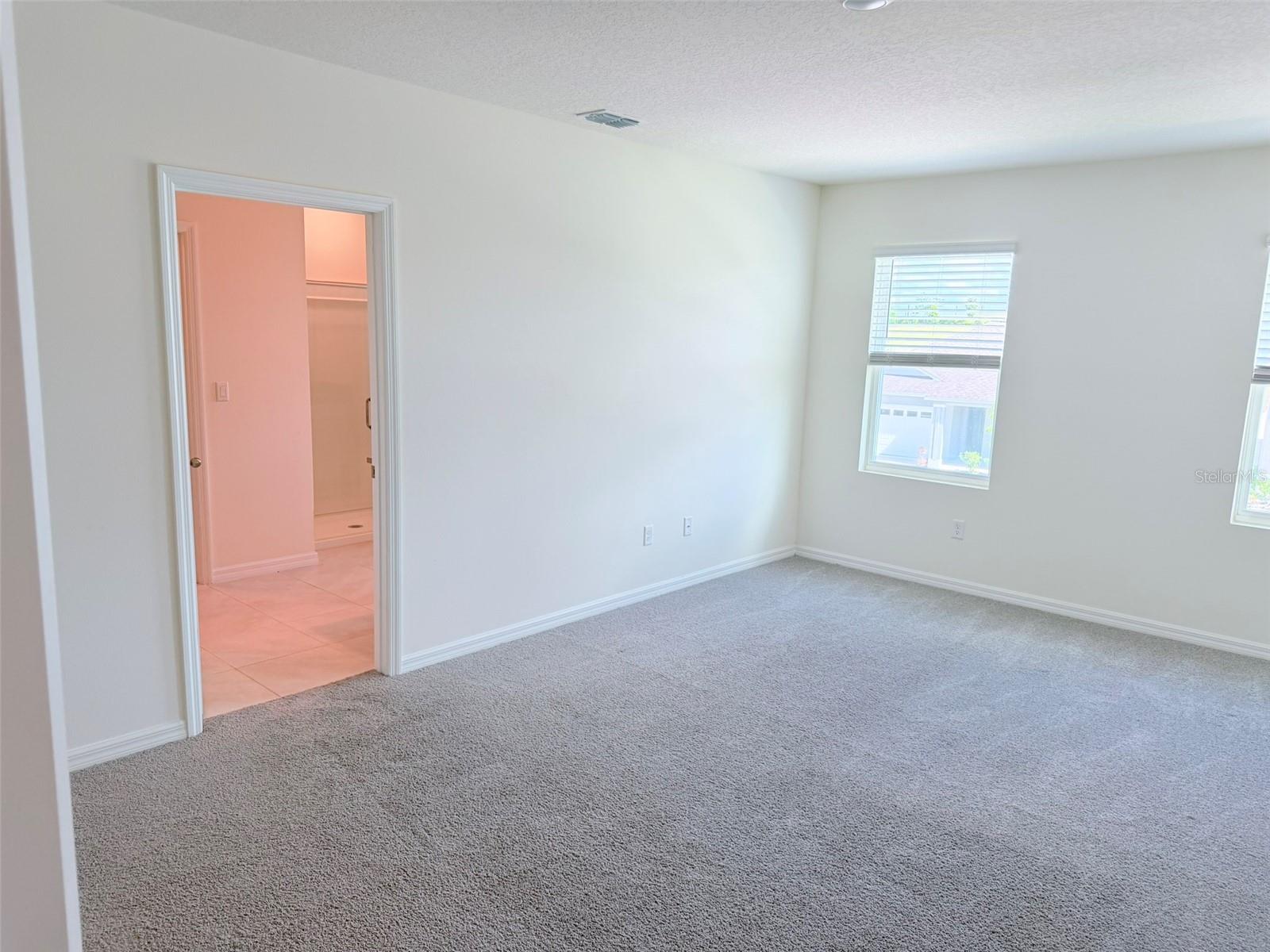 1313 CALMITO DR, MOUNT DORA, FL, 32757