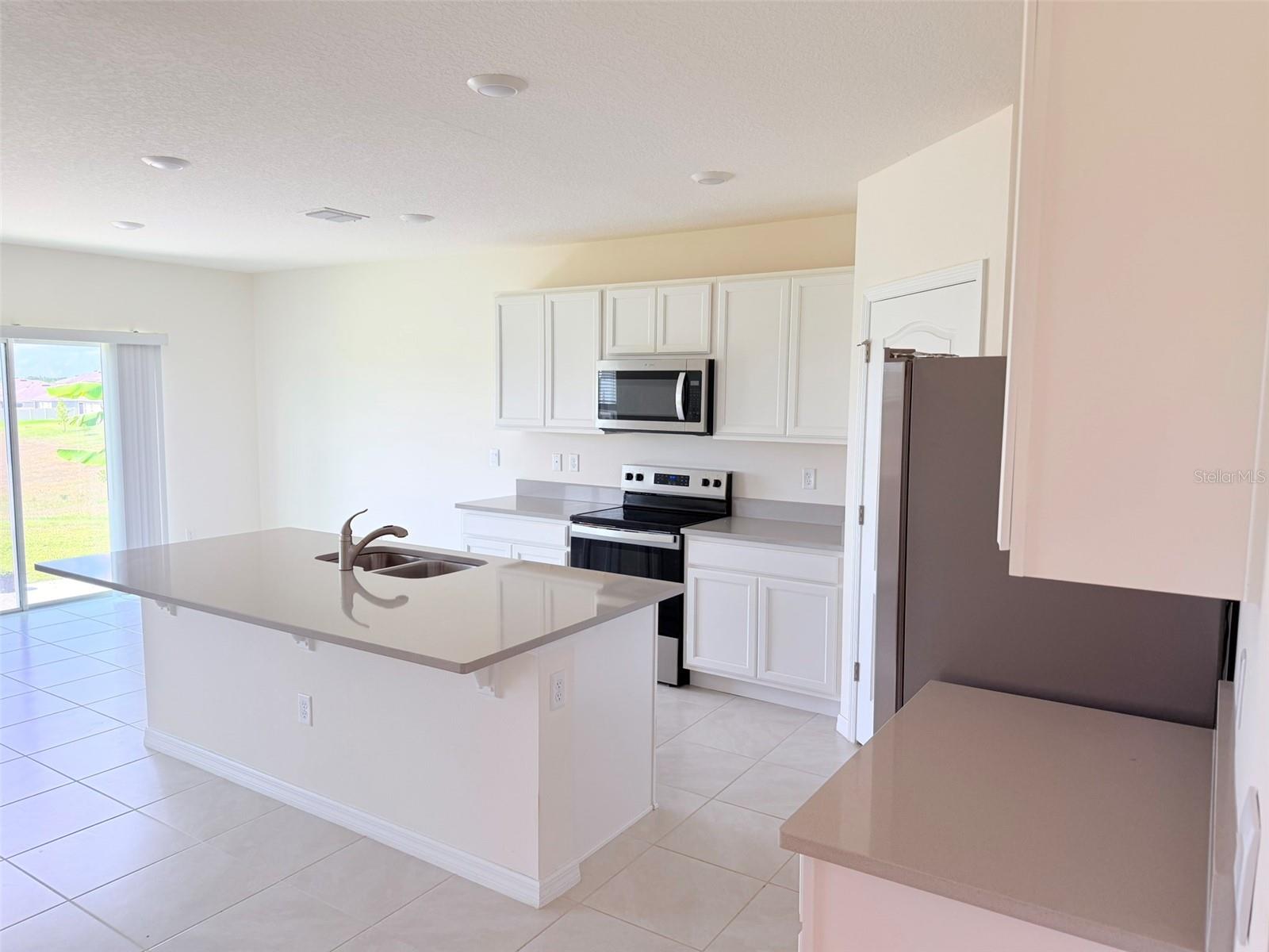 1313 CALMITO DR, MOUNT DORA, FL, 32757