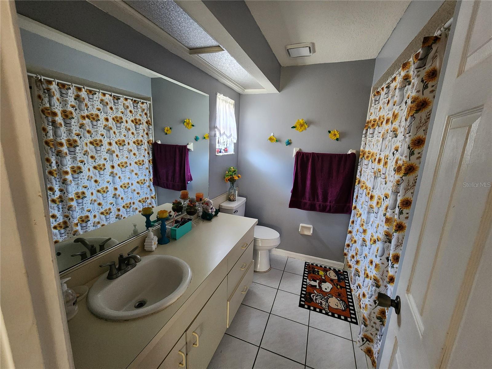 2814 WILDER PARK DR, PLANT CITY, FL, 33566