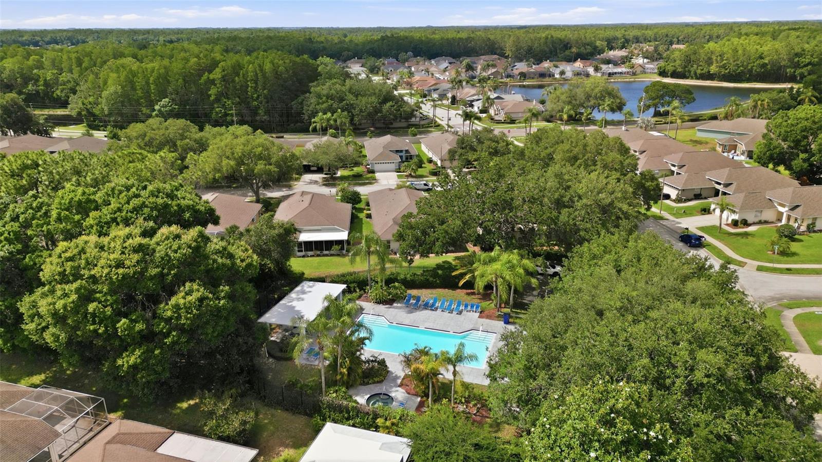 1125 DALESIDE LN, NEW PORT RICHEY, FL, 34655