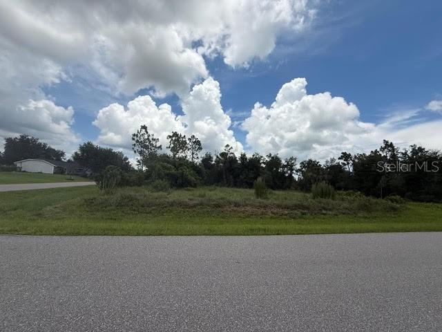 29500 LILLIS ST, PUNTA GORDA, FL, 33982