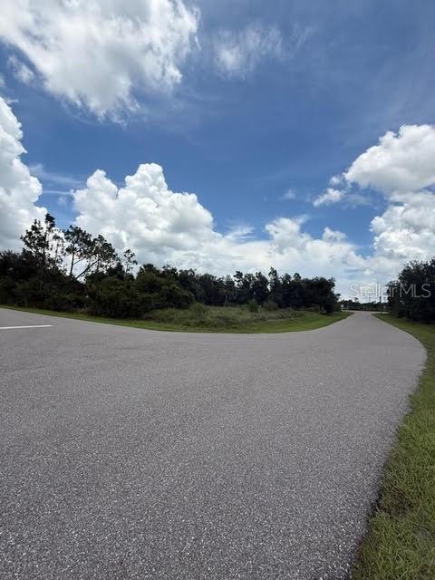 29500 LILLIS ST, PUNTA GORDA, FL, 33982