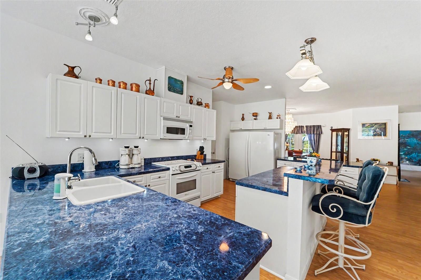 5432 N PECOS TER, BEVERLY HILLS, FL, 34465