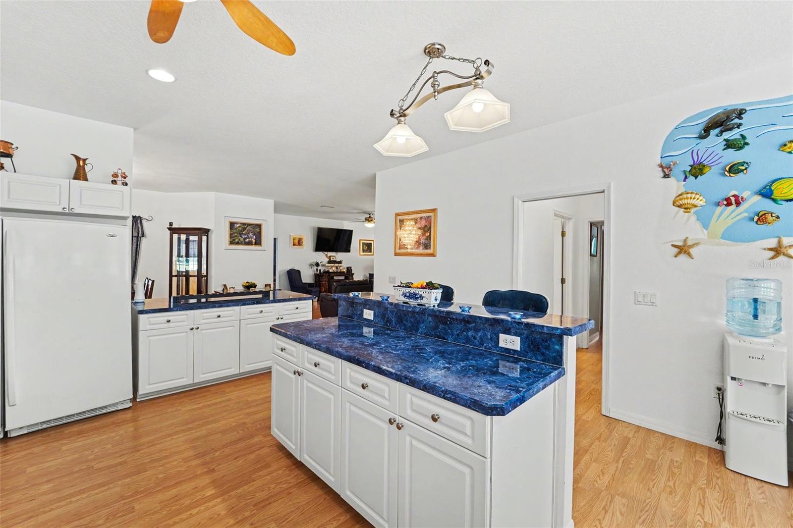 5432 N PECOS TER, BEVERLY HILLS, FL, 34465