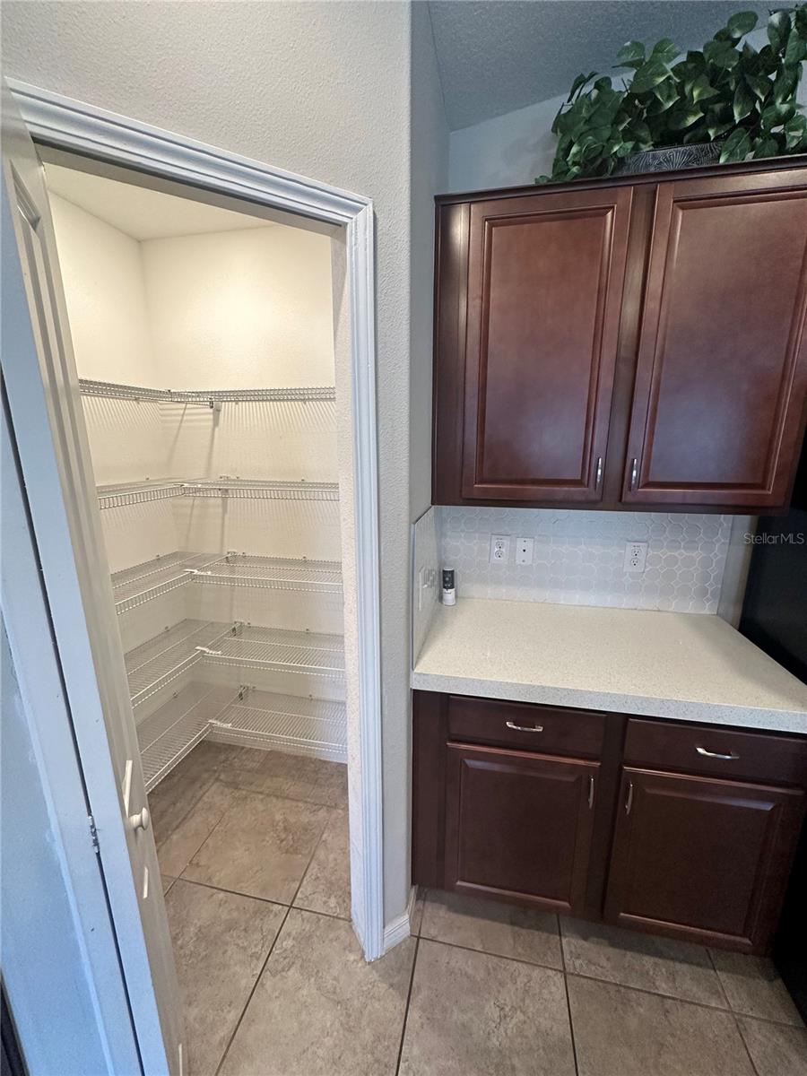 903 ZONE TAILED HAWK PL, RUSKIN, FL, 33570