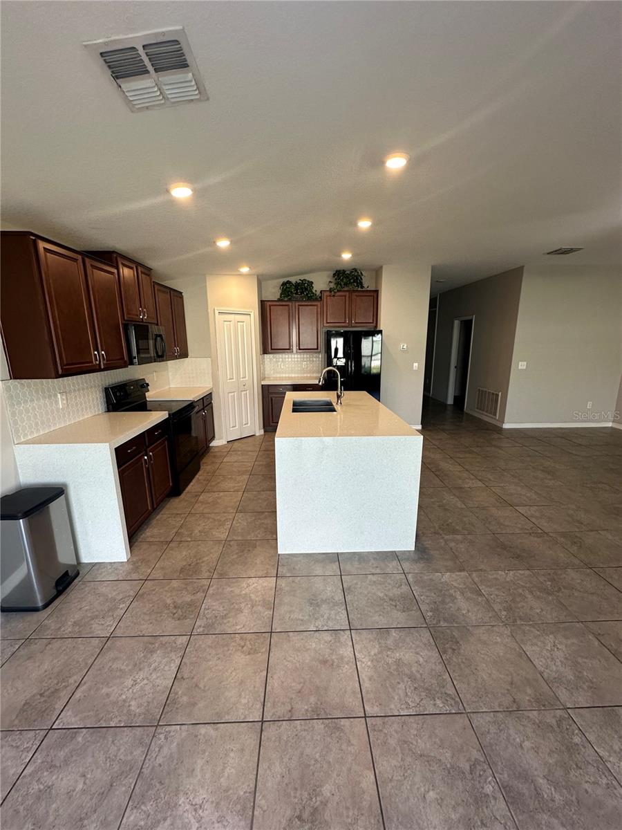 903 ZONE TAILED HAWK PL, RUSKIN, FL, 33570