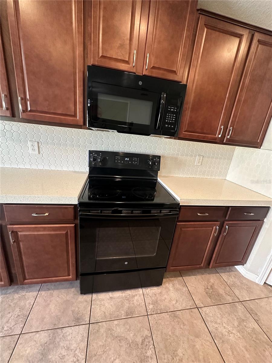 903 ZONE TAILED HAWK PL, RUSKIN, FL, 33570