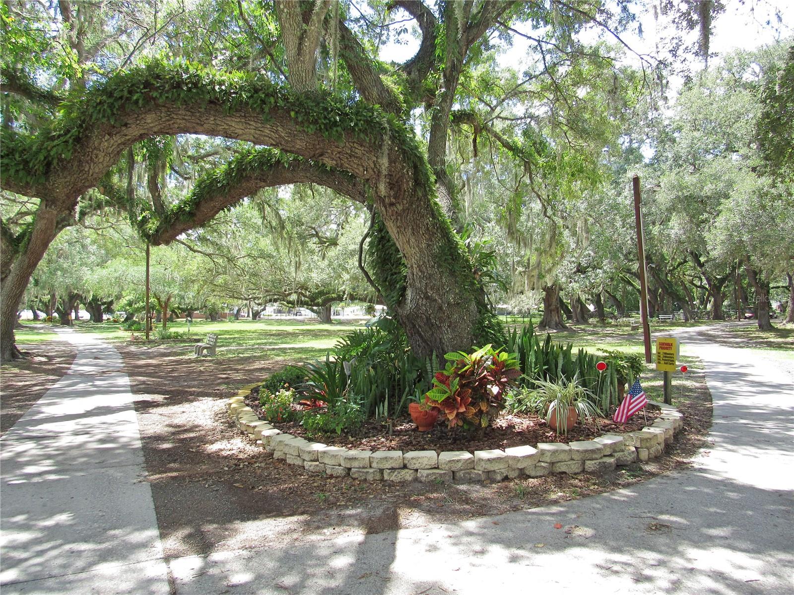 36650 DINA DR, ZEPHYRHILLS, FL, 33542