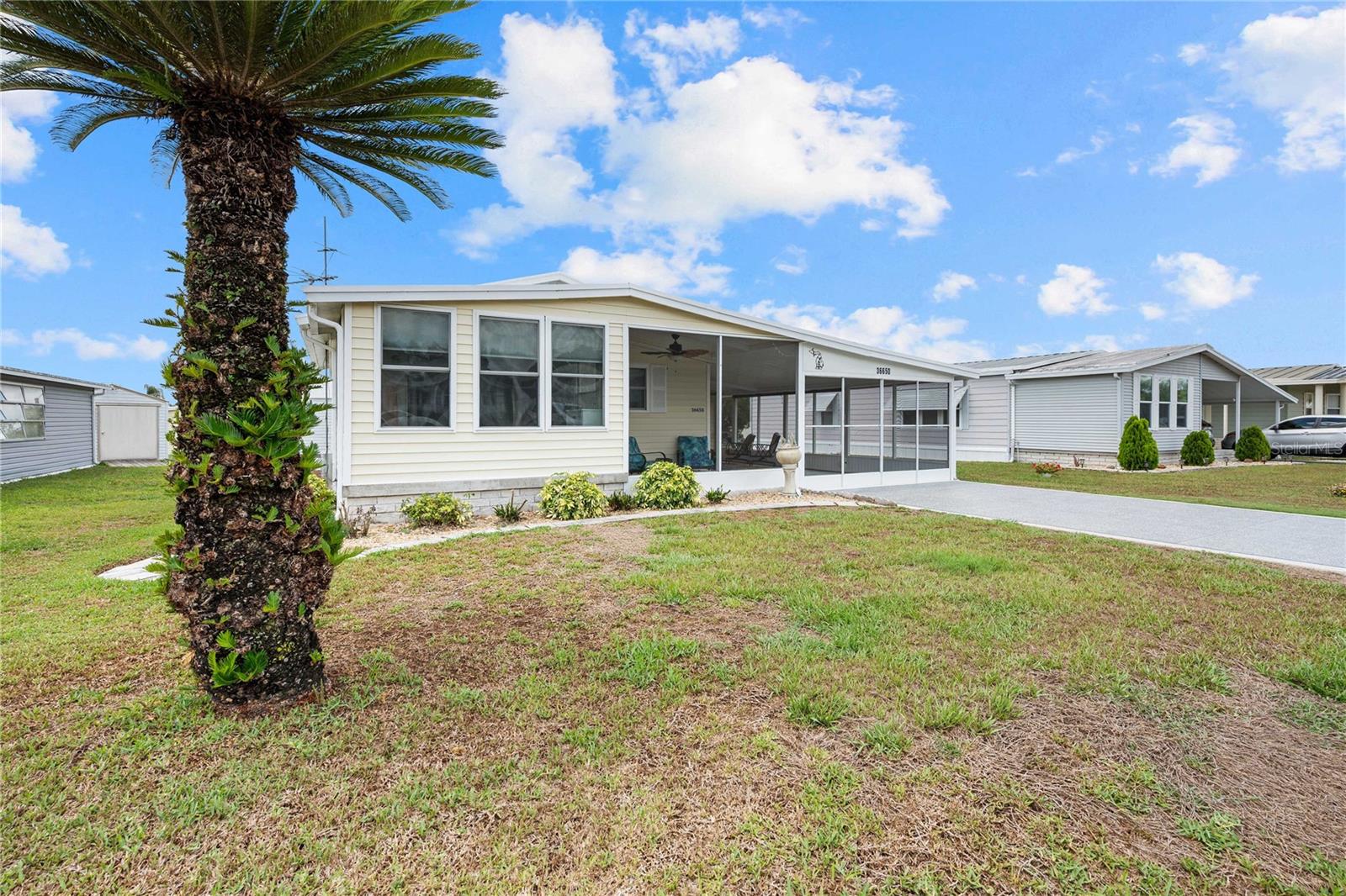 36650 DINA DR, ZEPHYRHILLS, FL, 33542