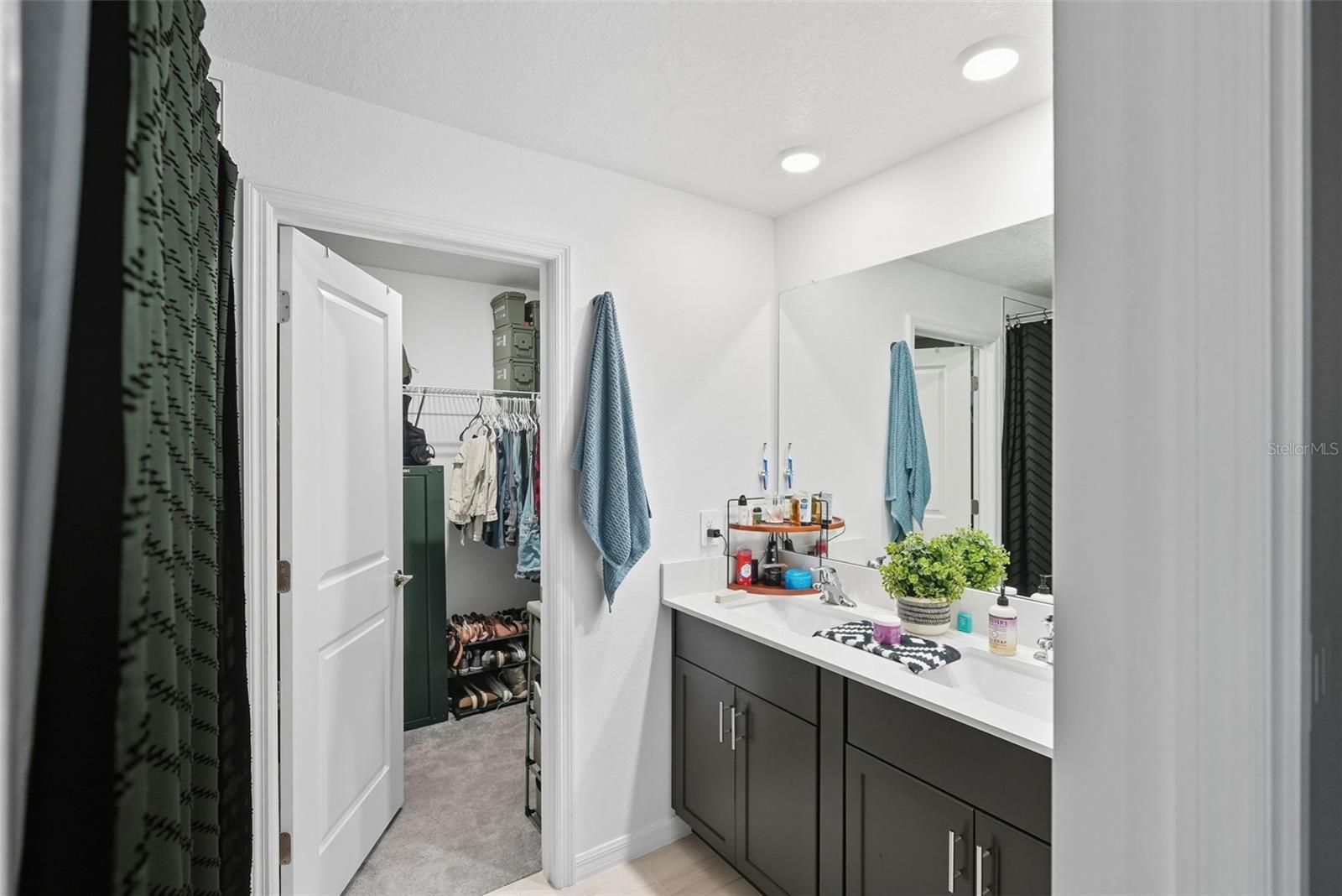 22289 NEBULA WAY, LAND O LAKES, FL, 34637