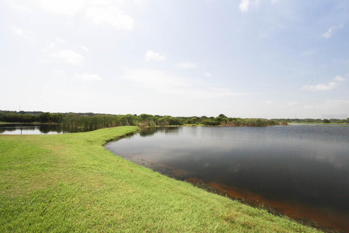 4615 WATSON WOODS WAY, RIVERVIEW, FL, 33578