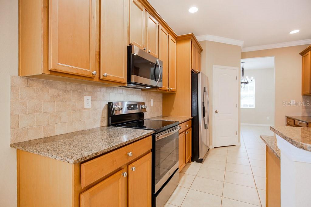 4615 WATSON WOODS WAY, RIVERVIEW, FL, 33578