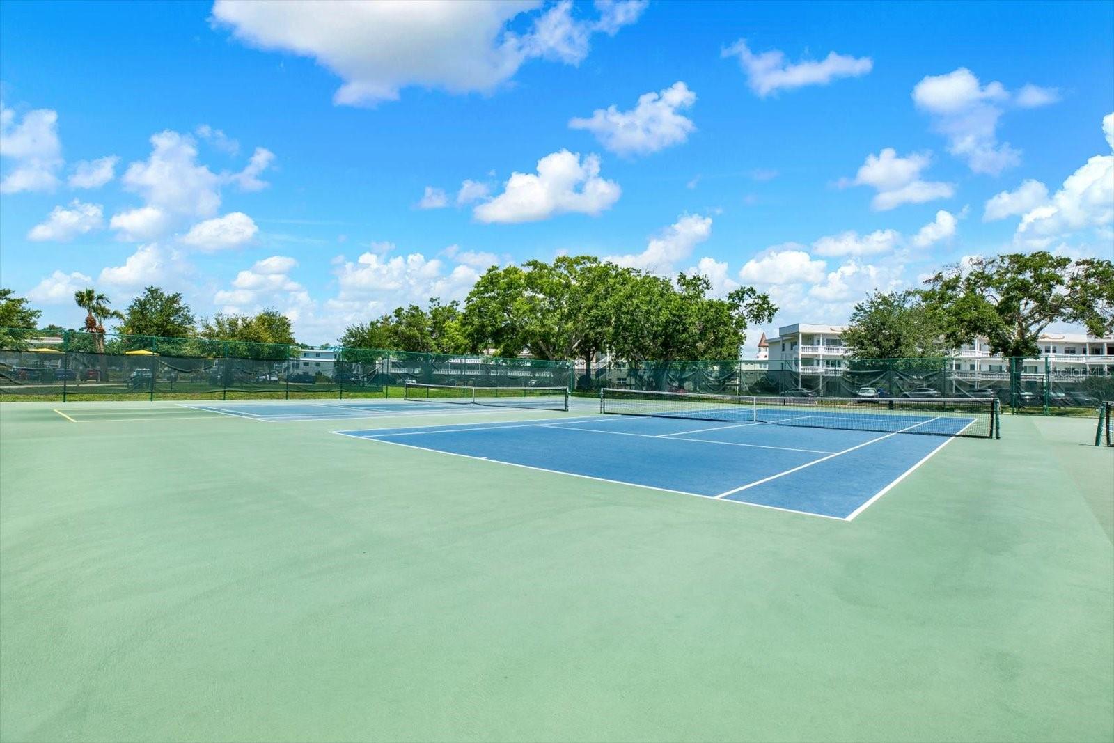 2458 COLUMBIA DR #24, CLEARWATER, FL, 33763