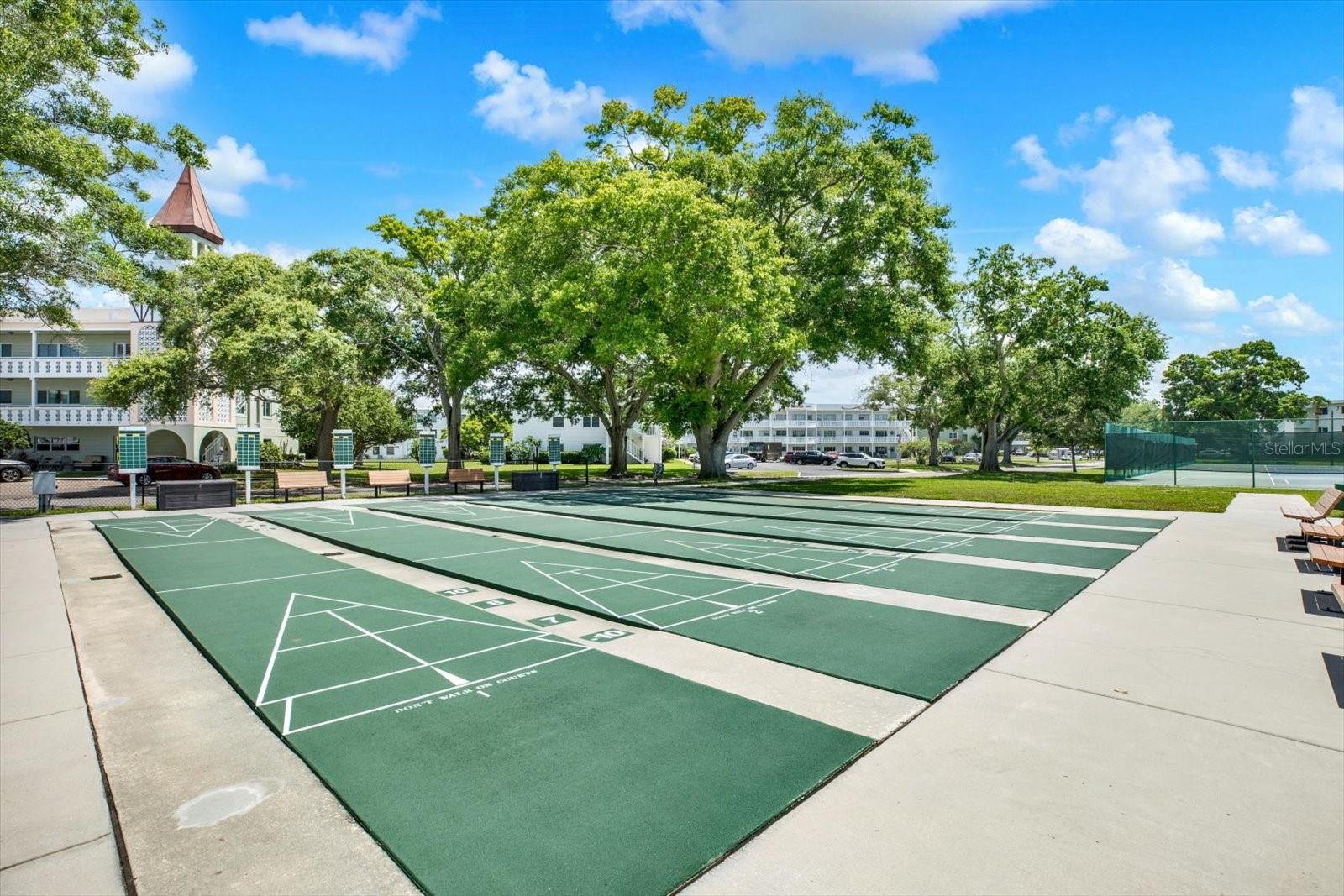2458 COLUMBIA DR #24, CLEARWATER, FL, 33763