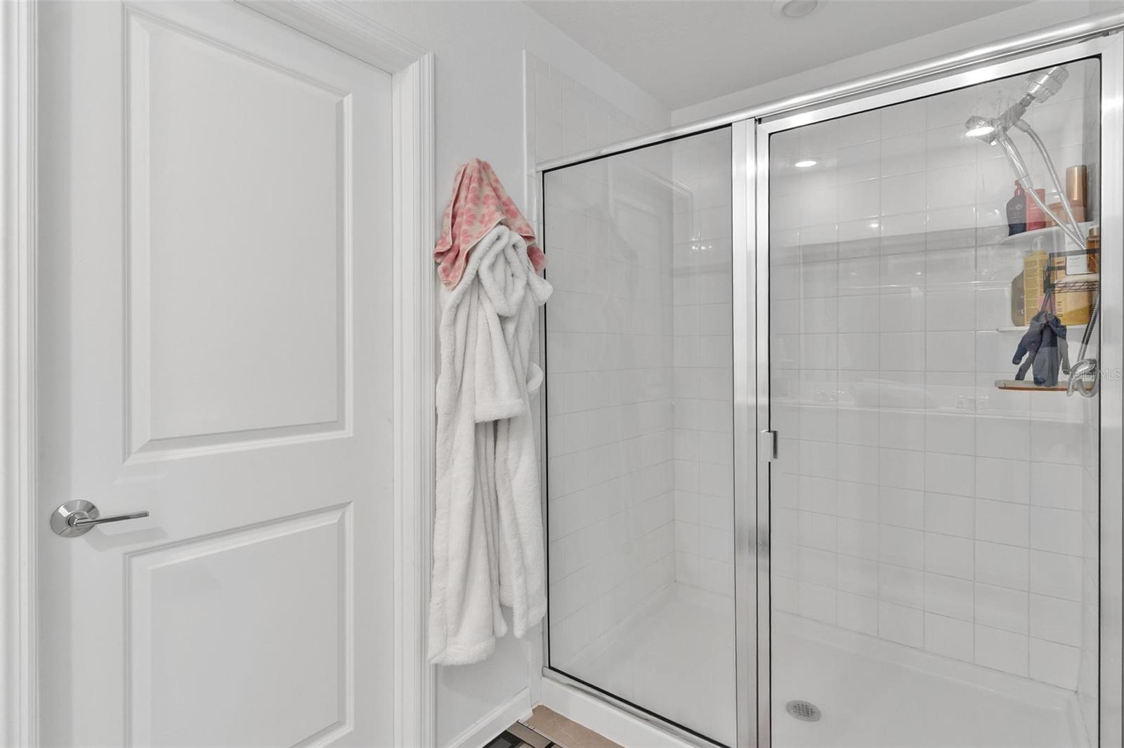 26143 FEATHERGRASS CIR, LEESBURG, FL, 34748