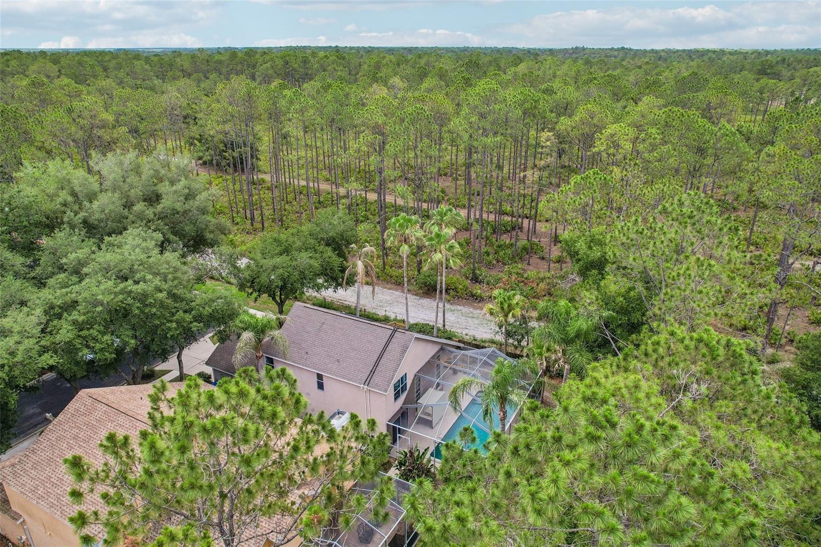 17702 LONG RIDGE RD, TAMPA, FL, 33647