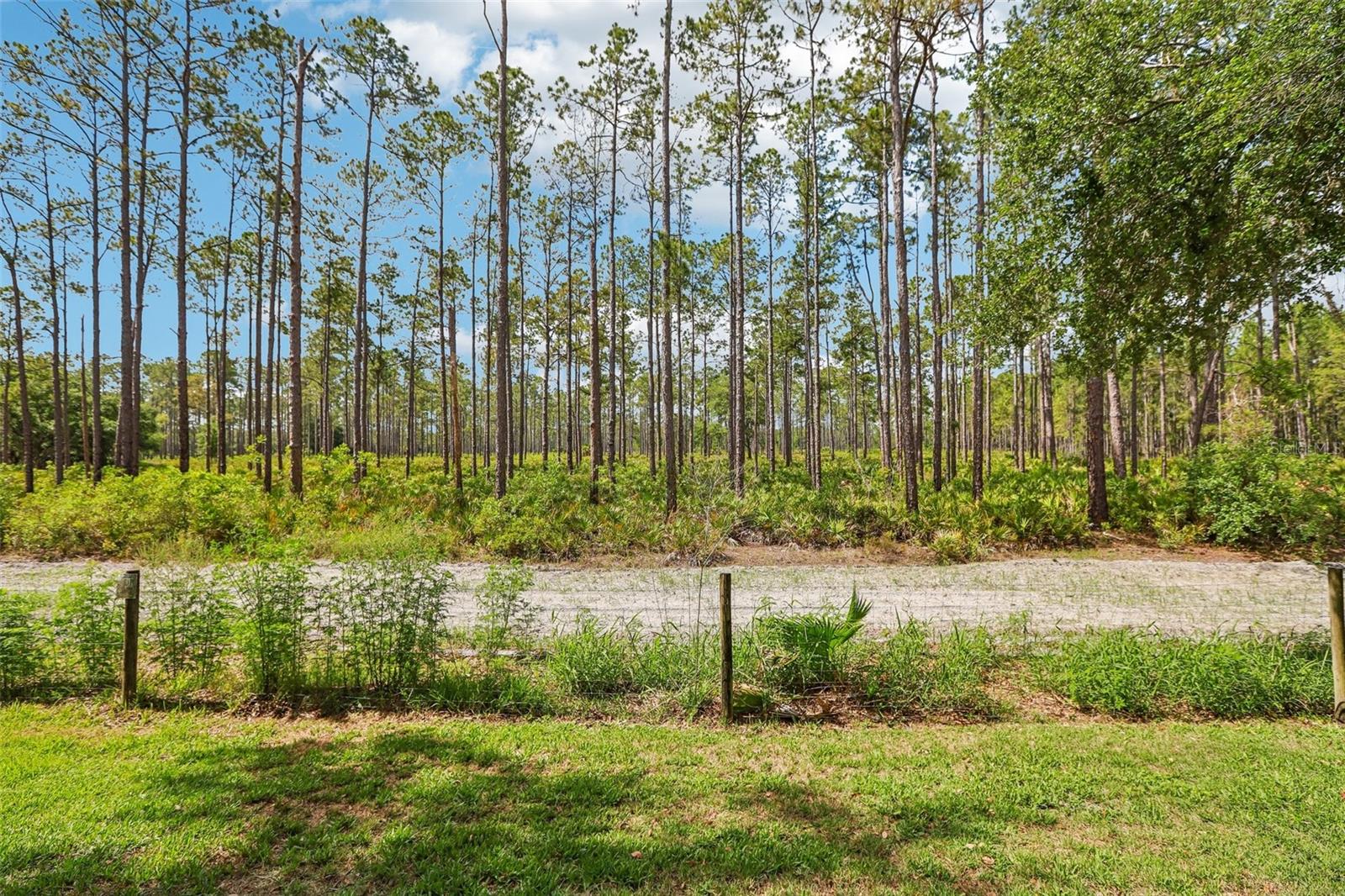 17702 LONG RIDGE RD, TAMPA, FL, 33647