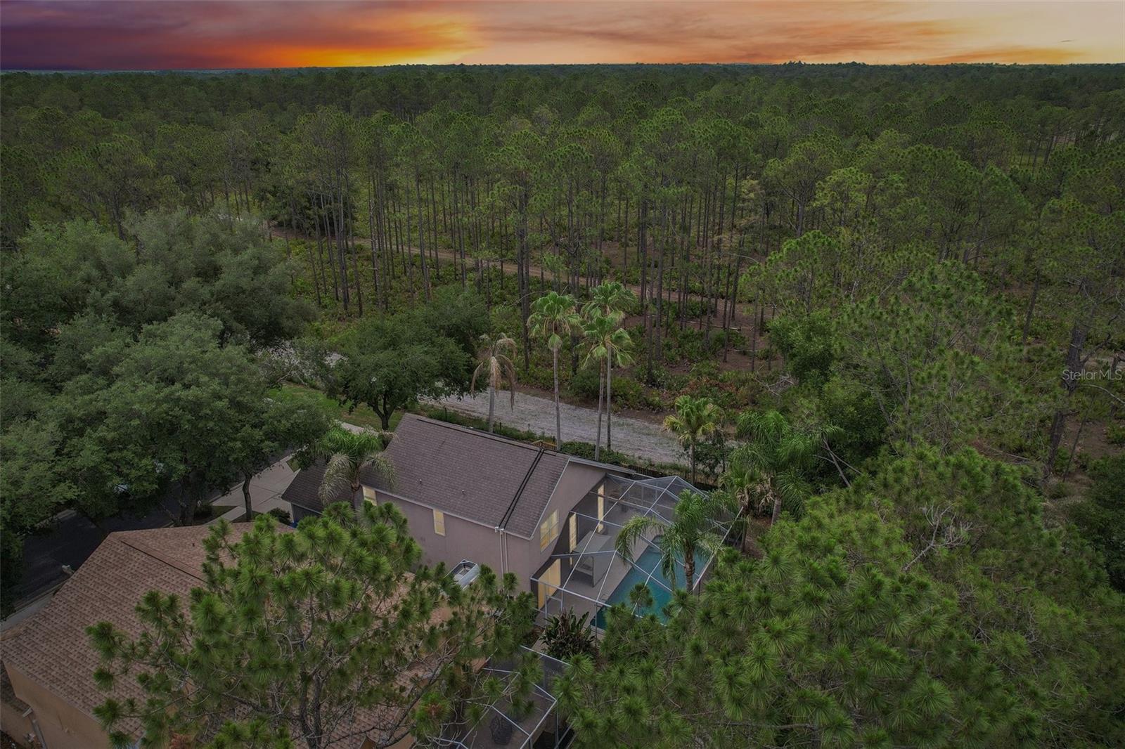 17702 LONG RIDGE RD, TAMPA, FL, 33647