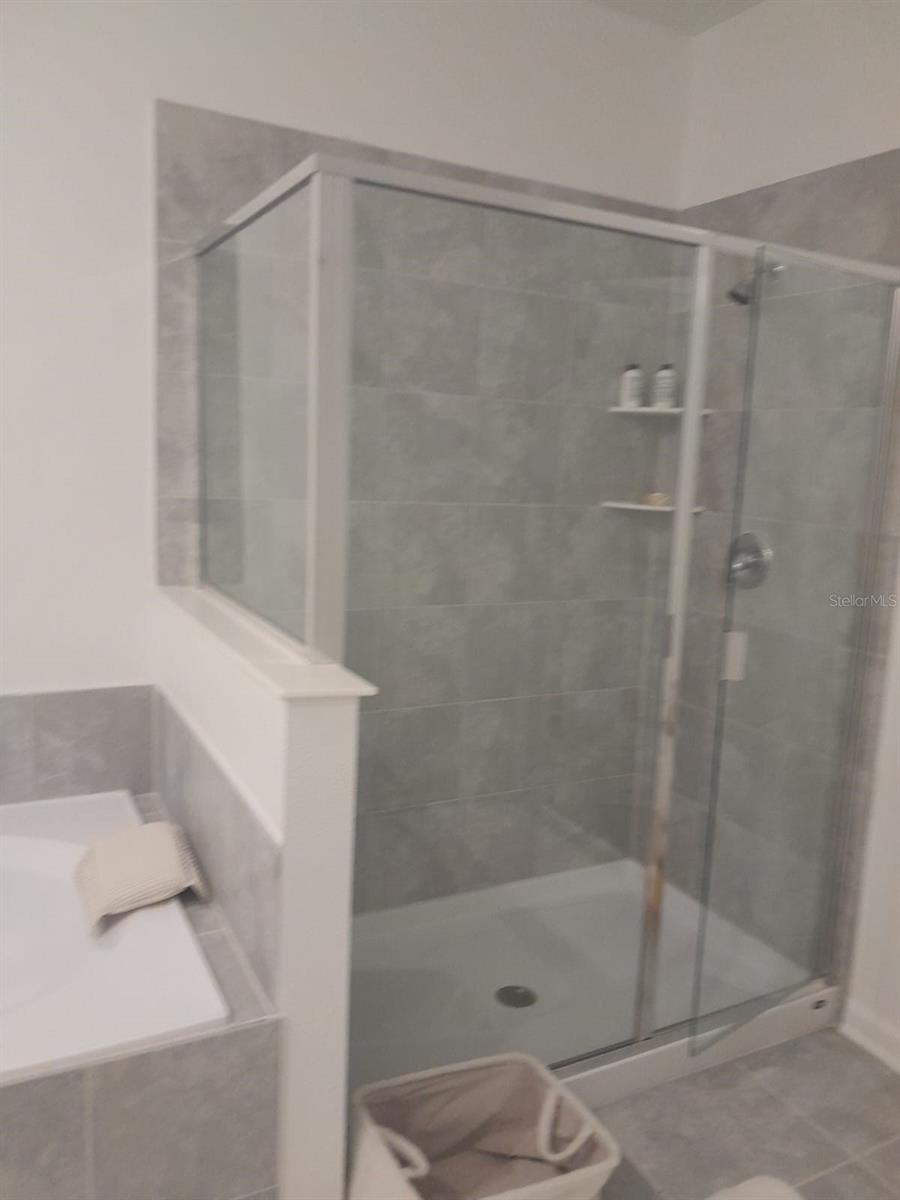 113 BOGEY DR, DAVENPORT, FL, 33896