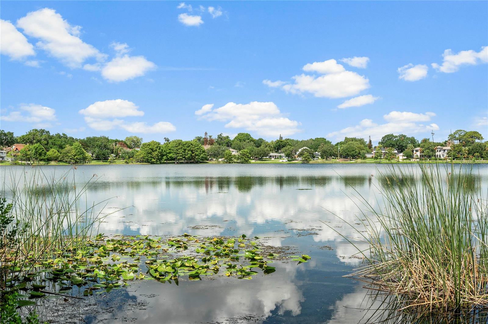 12 E HARVARD ST, ORLANDO, FL, 32804