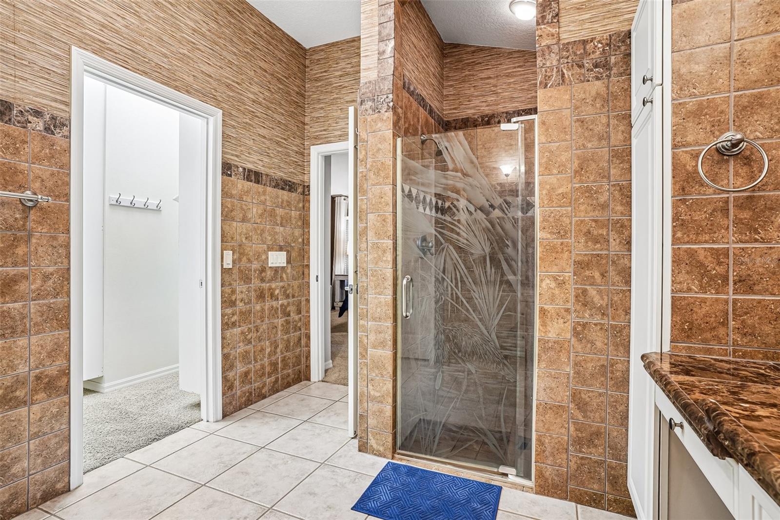 17115 SE 93RD TELLFIER TER, THE VILLAGES, FL, 32162