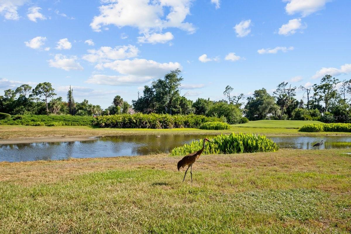 3856 WHISPERING OAKS DR, NORTH PORT, FL, 34287