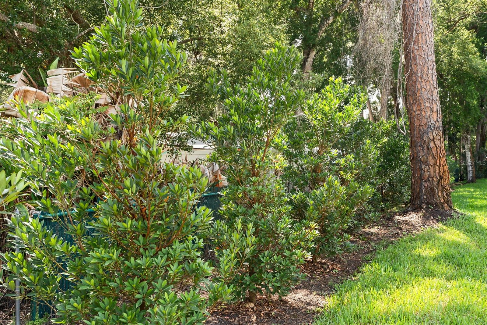 247 DEBARY DR, DEBARY, FL, 32713