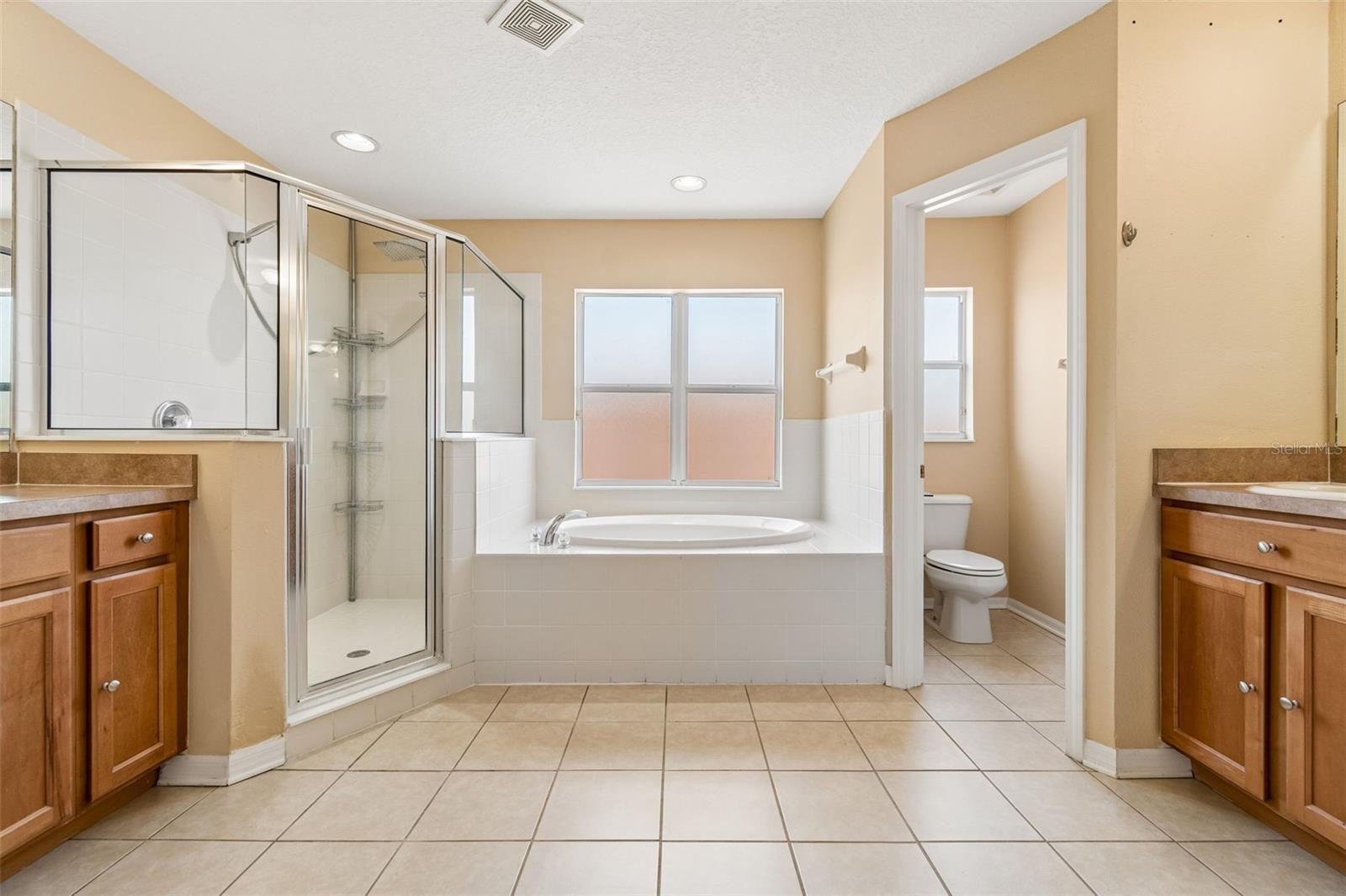 8718 SANDY PLAINS DR, RIVERVIEW, FL, 33578
