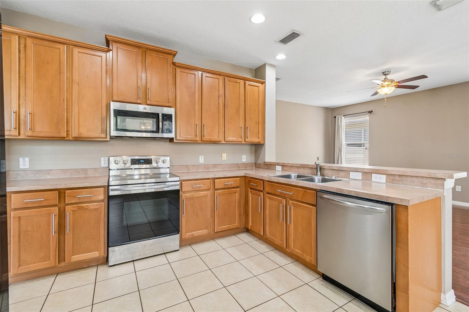 8718 SANDY PLAINS DR, RIVERVIEW, FL, 33578