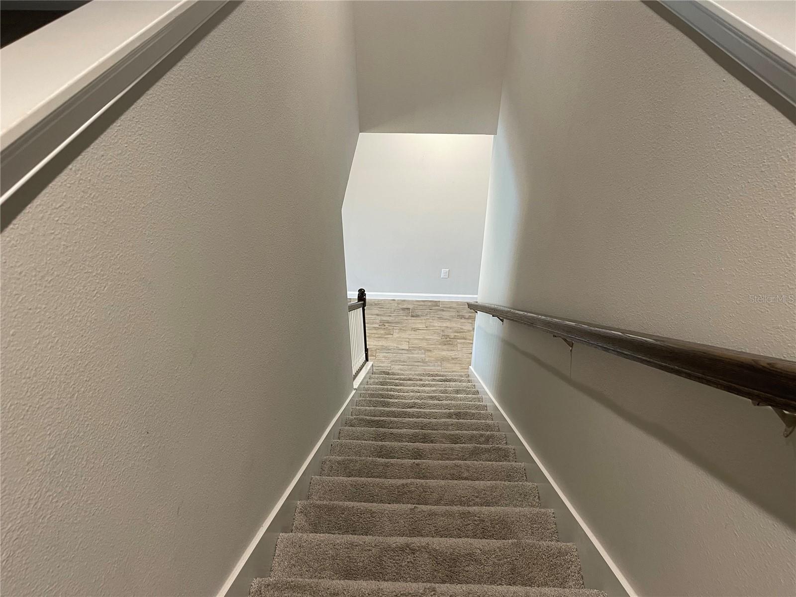 26068 WOVEN WICKER BND, LUTZ, FL, 33559