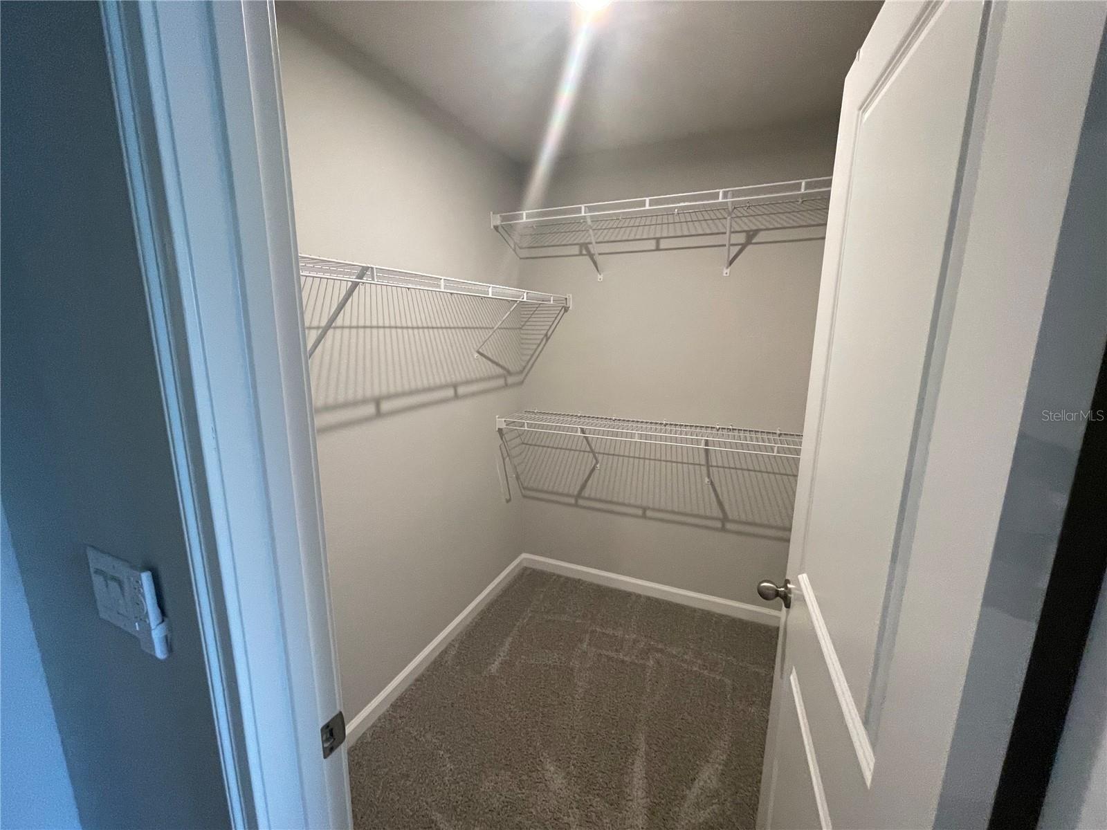 26068 WOVEN WICKER BND, LUTZ, FL, 33559