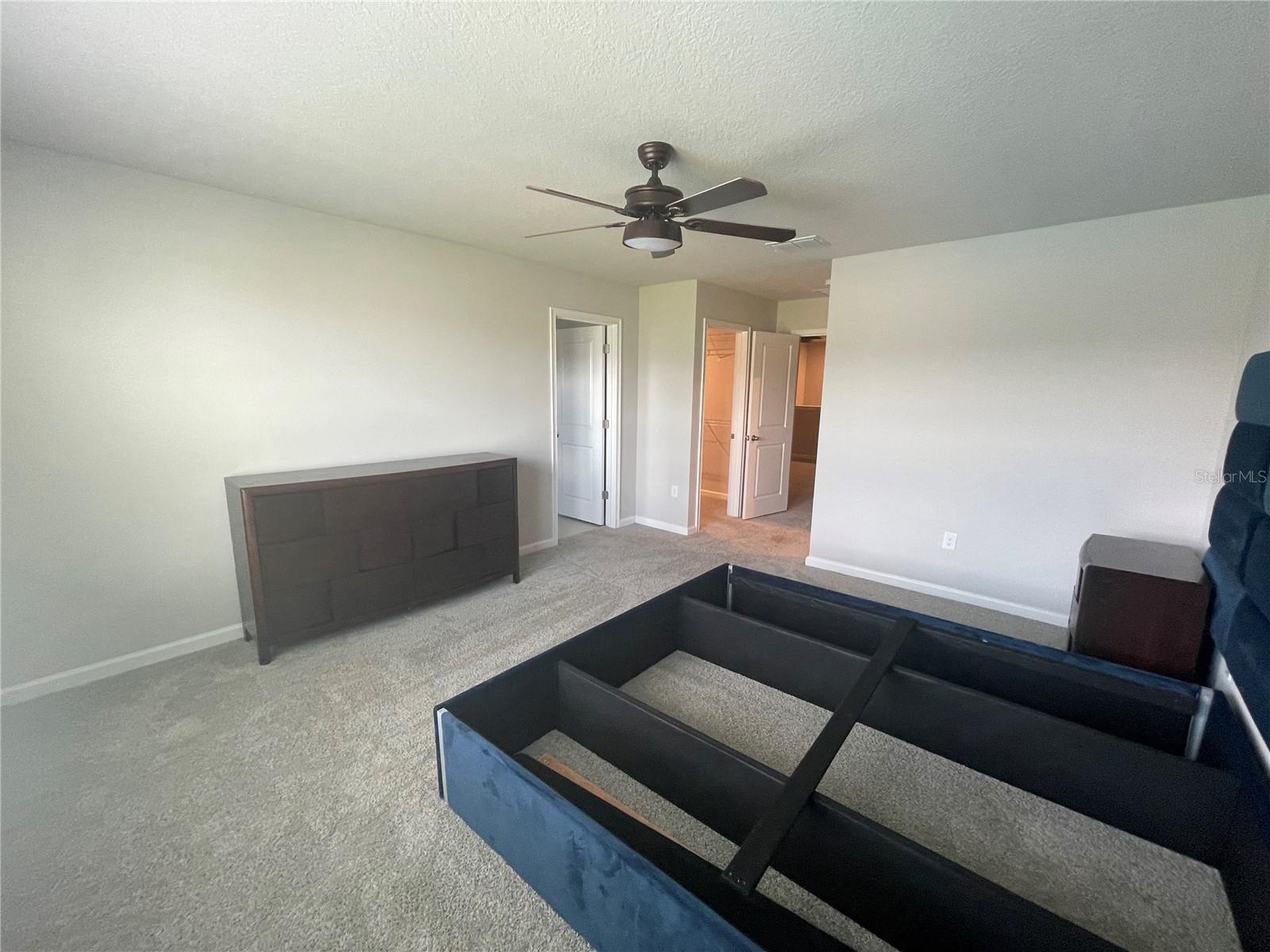 26068 WOVEN WICKER BND, LUTZ, FL, 33559