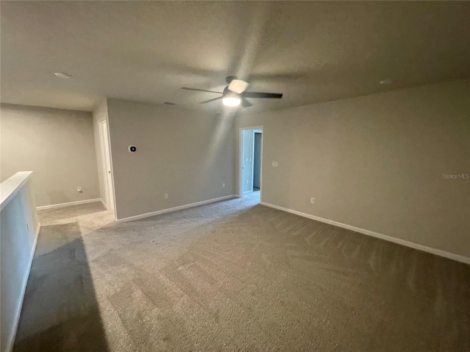 26068 WOVEN WICKER BND, LUTZ, FL, 33559