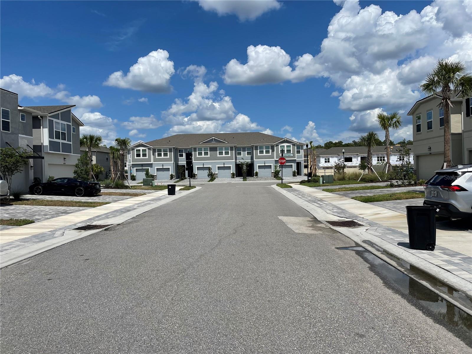 26068 WOVEN WICKER BND, LUTZ, FL, 33559