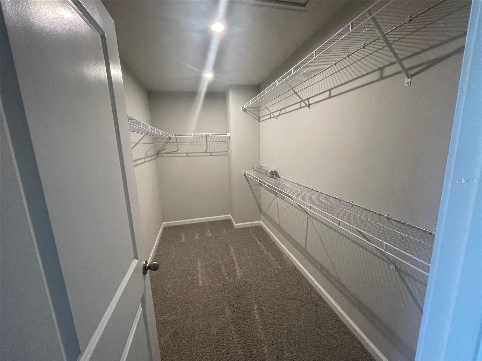 26068 WOVEN WICKER BND, LUTZ, FL, 33559