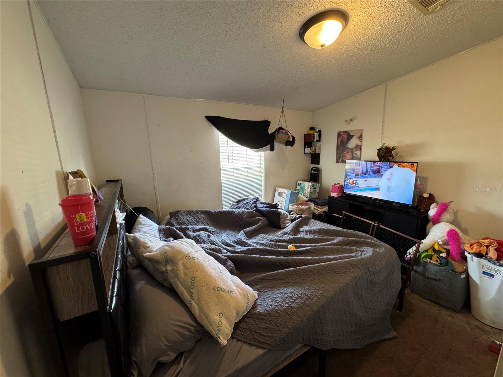 31601 SPRUCE DR, EUSTIS, FL, 32736