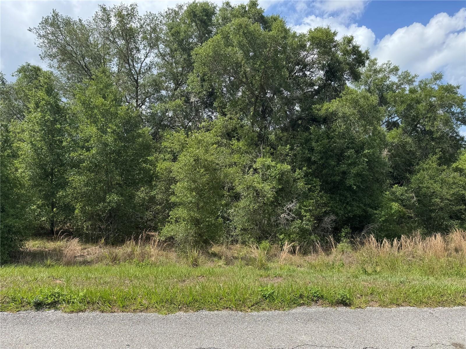 TBD KEENE RD, ALTOONA, FL, 32702