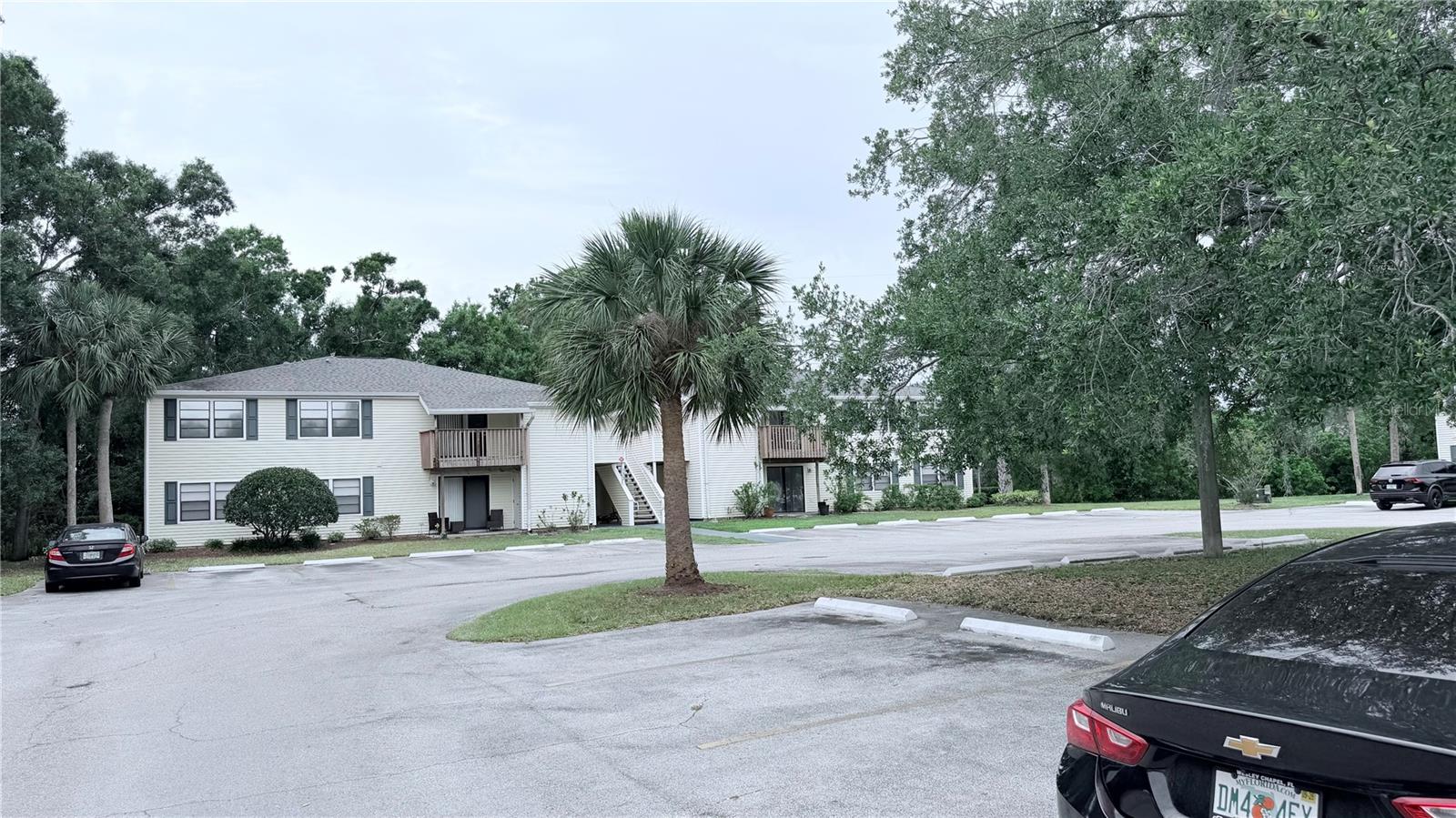 131 SABAL CT #E, OLDSMAR, FL, 34677
