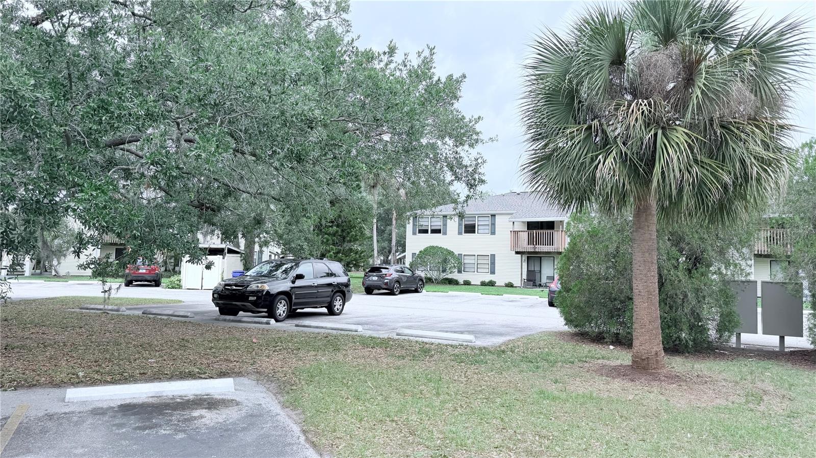 131 SABAL CT #E, OLDSMAR, FL, 34677