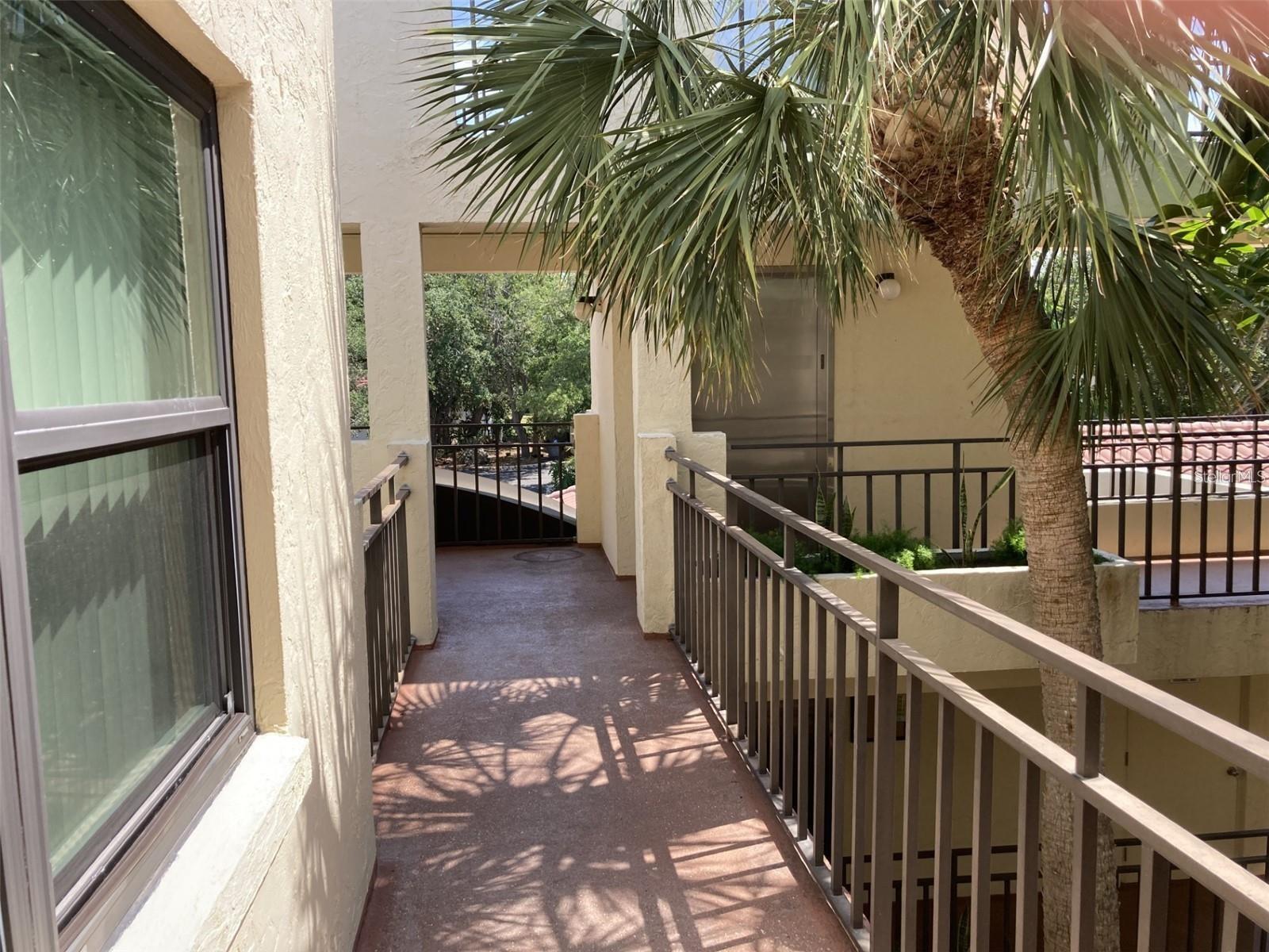6430 SUN EAGLE LN #203, BRADENTON, FL, 34210