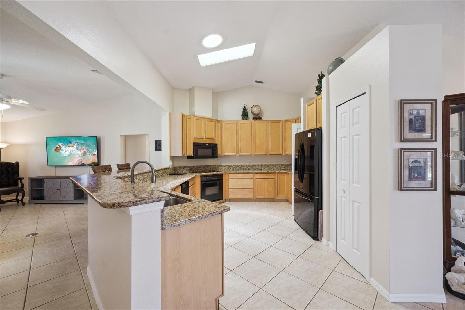 21101 BRAVEHEART DR, LEESBURG, FL, 34748